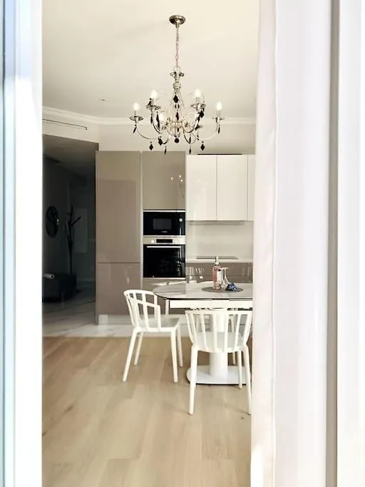 Luxuriously Furnished Bright Newly Renovated Oasis Apartment Nice France