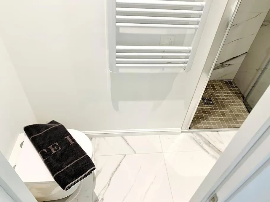 Luxuriously Furnished Bright Newly Renovated Oasis Apartment Nice France