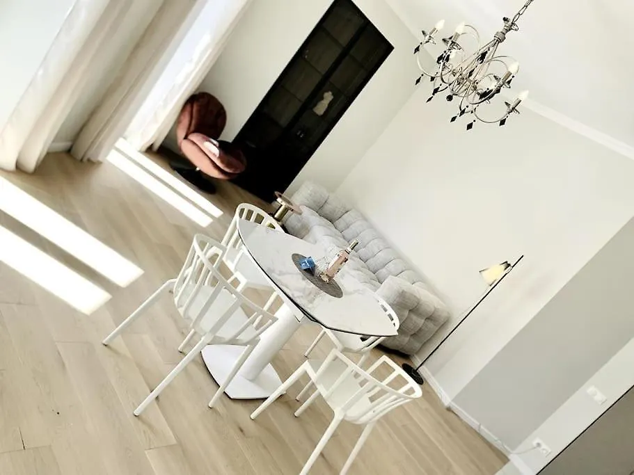 Luxuriously Furnished Bright Newly Renovated Oasis Apartment Nice France